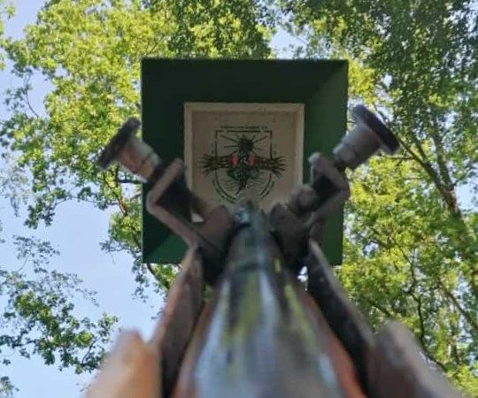 Schützenfest -Blick zum Vogel.